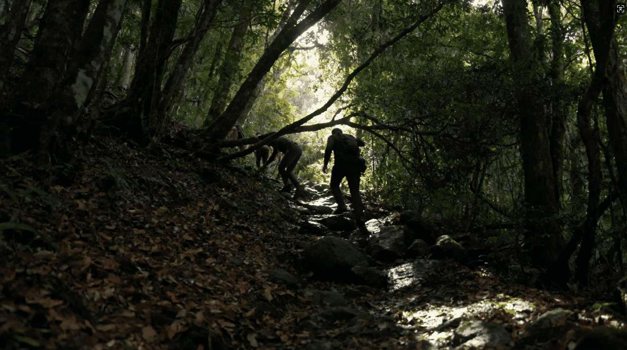纸飞机VNP加速的专业名称及其详细介绍