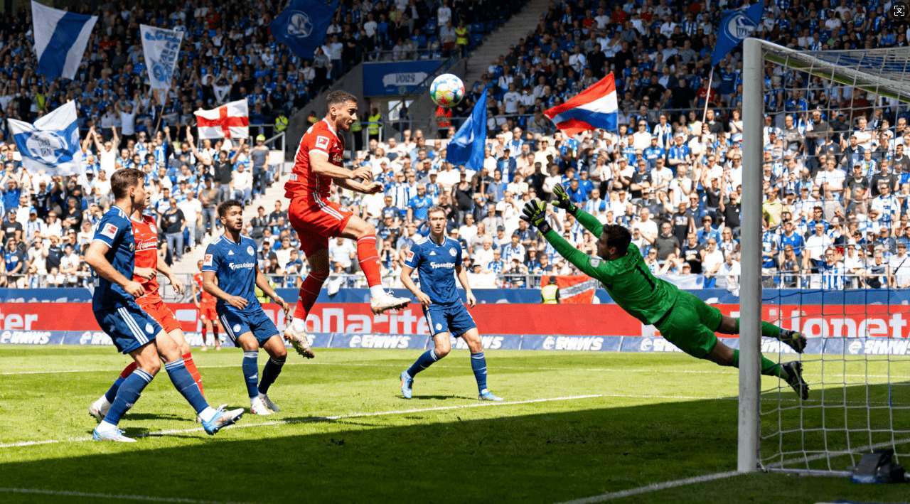 2024年最新付费梯子推荐：哪款最实用性价比最高？